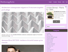 Tablet Screenshot of brettsengphoto.com